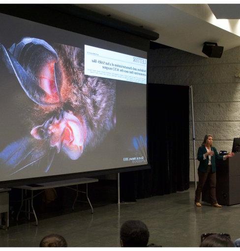 Dr. Jonna Mazet giving lecture in the CAVE. 